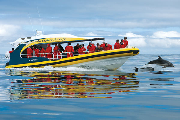 Tasman Island Cruises