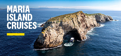 Maria Island Cruises