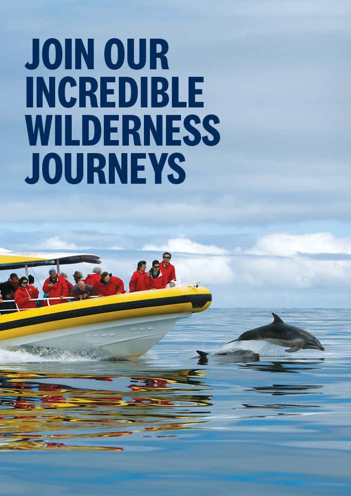 pennicott wilderness journeys tours